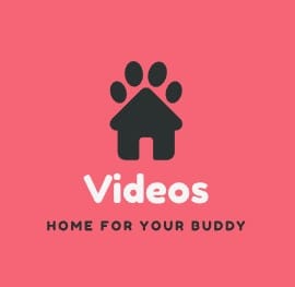 Yandex Video Jepang Artis